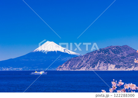 【静岡県】富士山を背に、河津桜咲く土肥港に向かう駿河湾フェリー 【静岡県】富士山を背に、河津桜咲く土肥港に向かう駿河湾フェリー 122288300