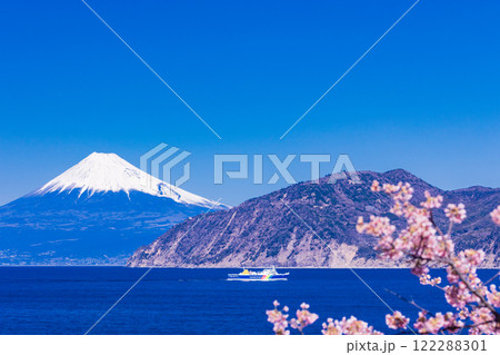 【静岡県】富士山を背に、河津桜咲く土肥港に向かう駿河湾フェリー 122288301