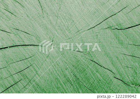 Light green wooden background. Background for banner 122289042