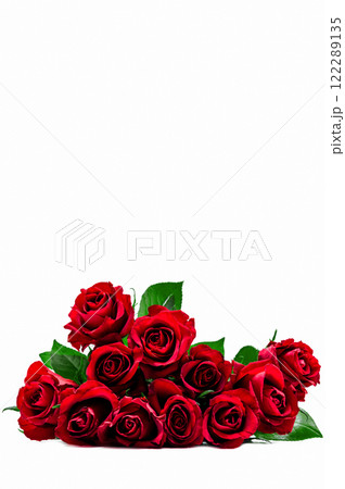 Bouquet of red roses on white background. Valentine's Day concept. International Women's Day, March 8 celebration. Bouquet of red roses on white background. Valentine's Day concept. International Women's Day, March 8 celebration. 122289135