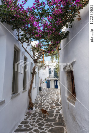 Naousa Fishing Village Alleyways 122289683