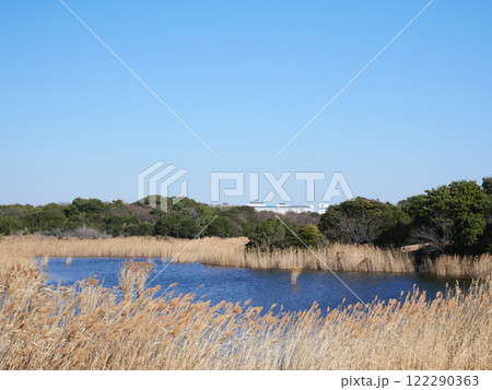 池のある風景｜葛西臨海公園 122290363