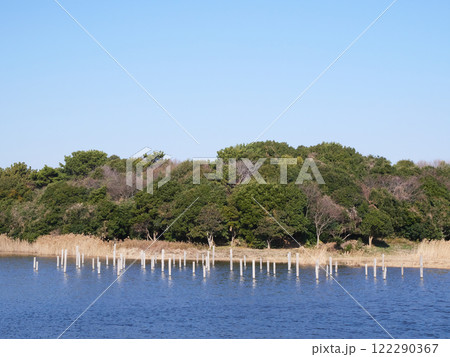 池のある風景｜葛西臨海公園 122290367