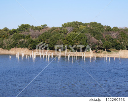 池のある風景|葛西臨海公園 池のある風景|葛西臨海公園 122290368