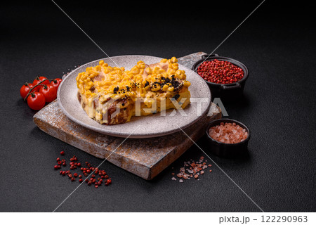 Sandwich with brioche, meat, melted cheese, corn, salt, spices and herbs Sandwich with brioche, meat, melted cheese, corn, salt, spices and herbs 122290963