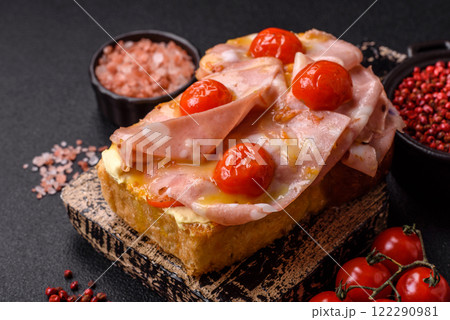 Sandwich with brioche, meat, melted cheese, ham, tomatoes, salt, spices and herbs Sandwich with brioche, meat, melted cheese, ham, tomatoes, salt, spices and herbs 122290981