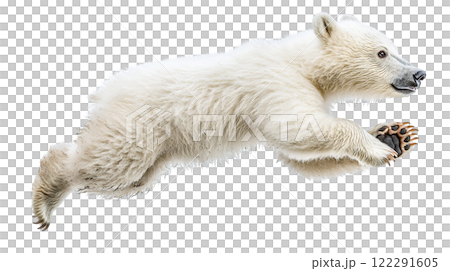Polar bear leaps in mid-air showcasing agility and strength in a side view against a simple background Polar bear leaps in mid-air showcasing agility and strength in a side view against a simple background 122291605
