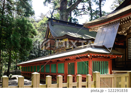 鹿島神宮　社殿（本殿・石の間・幣殿・拝殿） 122291838