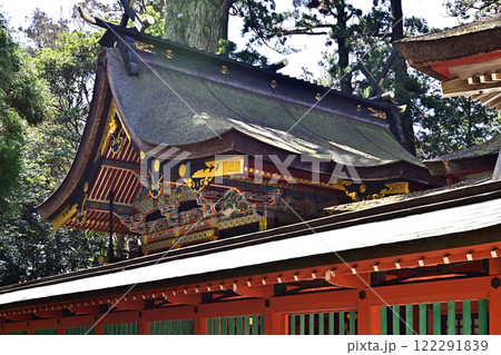 鹿島神宮 社殿(本殿・石の間・幣殿・拝殿) 鹿島神宮 社殿(本殿・石の間・幣殿・拝殿) 122291839