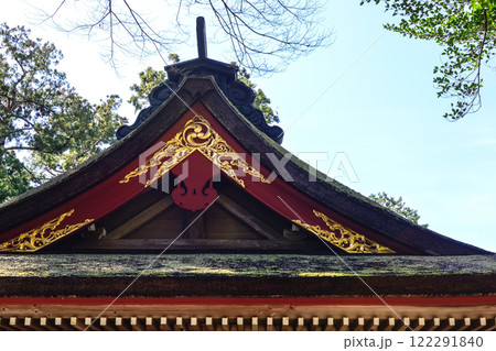 鹿島神宮　社殿（本殿・石の間・幣殿・拝殿） 122291840