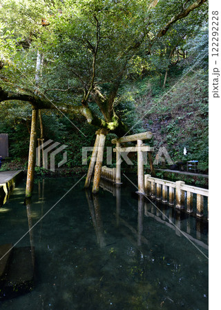 鹿島神宮 御手洗池 鹿島神宮 御手洗池 122292228