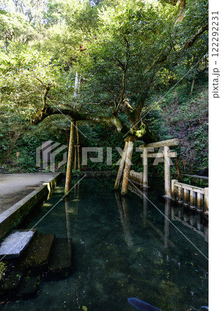 鹿島神宮 御手洗池 鹿島神宮 御手洗池 122292231