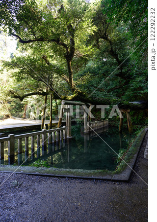 鹿島神宮 御手洗池 鹿島神宮 御手洗池 122292232