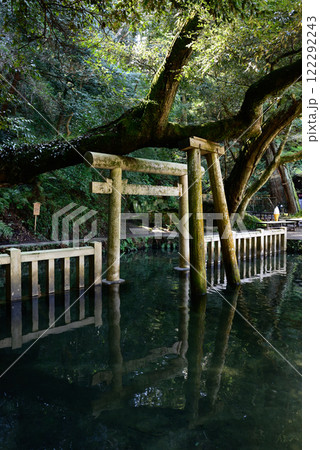 鹿島神宮 御手洗池 鹿島神宮 御手洗池 122292243