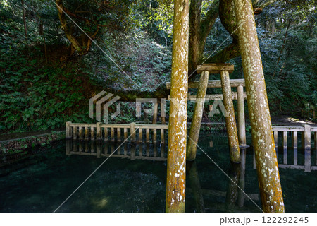 鹿島神宮 御手洗池 鹿島神宮 御手洗池 122292245