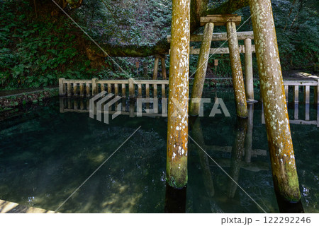 鹿島神宮　御手洗池 122292246