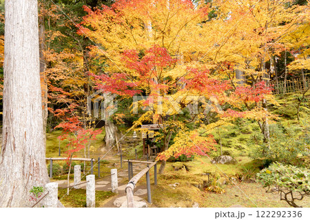湖東三山　西明寺庭園　紅葉（もみじ）　滋賀県犬上郡甲良町池寺 122292336