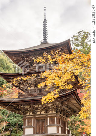 湖東三山 西明寺 国宝三重塔 紅葉(もみじ) 秋のイメージ 湖東三山 西明寺 国宝三重塔 紅葉(もみじ) 秋のイメージ 122292347