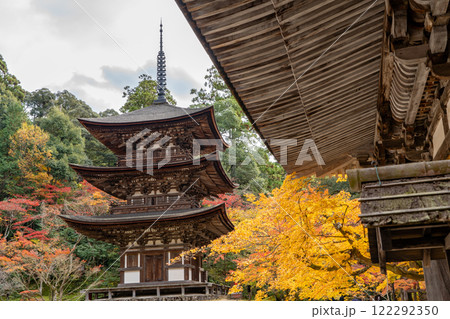 湖東三山　西明寺　国宝三重塔　紅葉（もみじ）　秋のイメージ 122292350