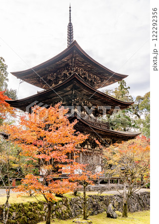 湖東三山　西明寺　国宝三重塔　紅葉（もみじ）　秋のイメージ 122292356