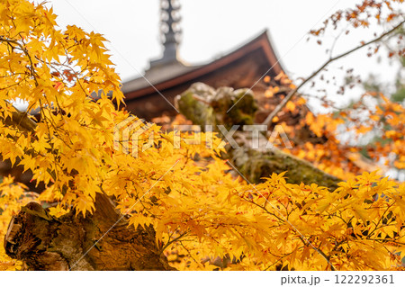 湖東三山　西明寺　国宝三重塔　紅葉（もみじ）　秋のイメージ 122292361