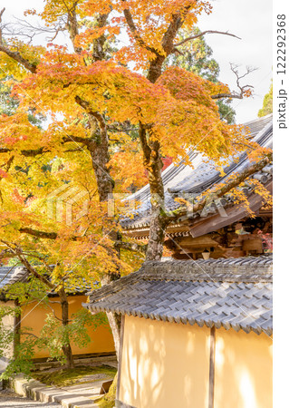 湖東三山　西明寺　本坊表門　紅葉（もみじ）　秋のイメージ 122292368