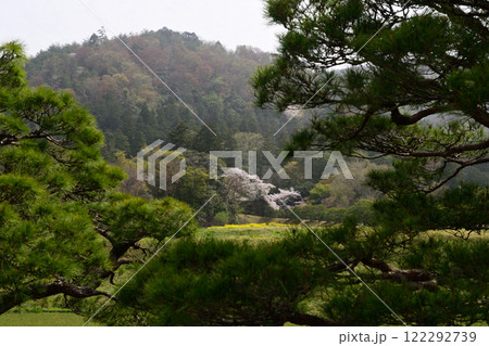 修学院離宮　田園風景と桜 122292739