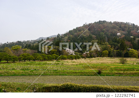 修学院離宮　田園風景と桜 122292741