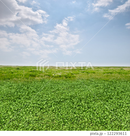 手前にピントを合わせた、青空と緑のフィールド 122293611