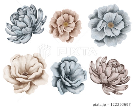 Watercolor winter floral design: flower, dried branch, berry, greenery. twogs and leaves. Wedding designer element set Watercolor winter floral design: flower, dried branch, berry, greenery. twogs and leaves. Wedding designer element set 122293697