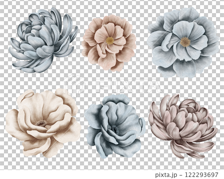 Watercolor winter floral design: flower, dried branch, berry, greenery. twogs and leaves. Wedding designer element set Watercolor winter floral design: flower, dried branch, berry, greenery. twogs and leaves. Wedding designer element set 122293697