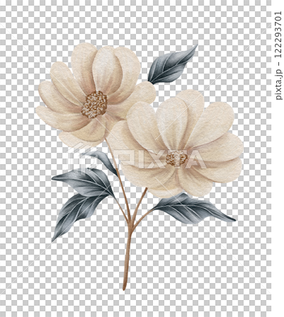 Watercolor winter floral design. Wedding flowers designer element set 122293701