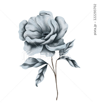 Watercolor winter floral design. Wedding flowers designer element set 122293702