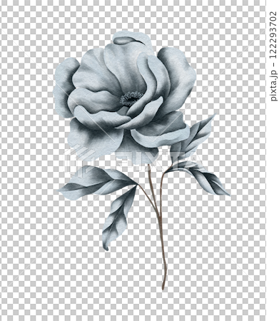 Watercolor winter floral design. Wedding flowers designer element set 122293702