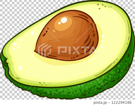 Avocado Fruit with Seed Colored Detailed Illustration 122294186