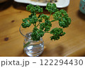 新鮮なパセリ 122294430