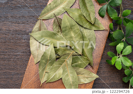 ローリエの葉 ローリエの葉 122294726