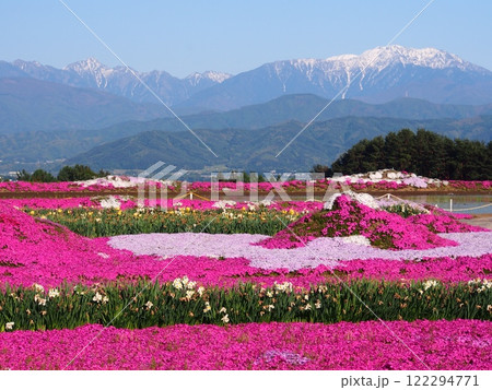伊那平から望む春の冬の南アルプス･仙丈ヶ岳と芝桜 122294771