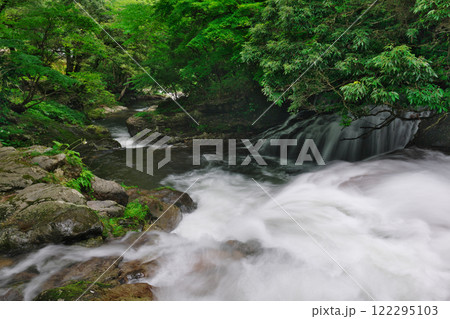 新緑と清流（龍頭八重滝県立自然公園：雲南市） 122295103