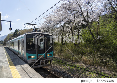桜咲く、小浜線粟野駅 桜咲く、小浜線粟野駅 122295380