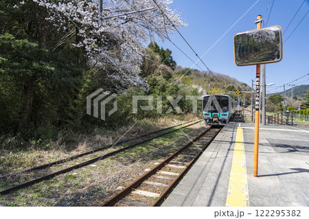 桜咲く、小浜線粟野駅 桜咲く、小浜線粟野駅 122295382