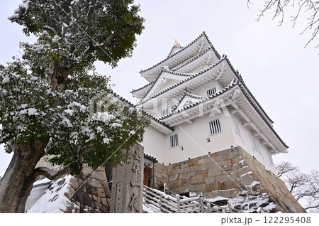 墨俣一夜城（岐阜県大垣市）の雪景色 122295408