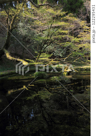 山吹水源 山吹水源 122295431