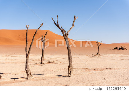 Barren landscape near Deadvlei and sossusvlei 122295440