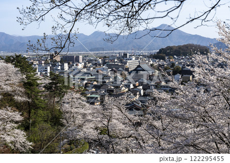西山公園の桜 122295455