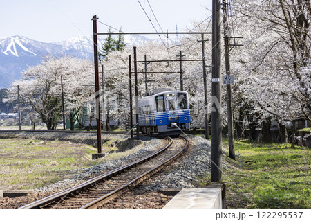 えちぜん鉄道と桜並木 えちぜん鉄道と桜並木 122295537