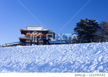 青空と積雪した多賀城南門（国特別史跡） 122295542