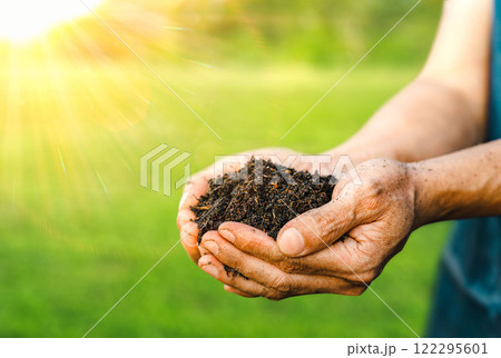 Hand of male holding soil in the hands for planting. Expert hand of farmer checking soil health before growth a seed of vegetable or plant seedling. Gardening technical, Agriculture concept. 122295601