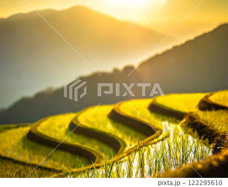 夕方の棚田　田園風景 122295610