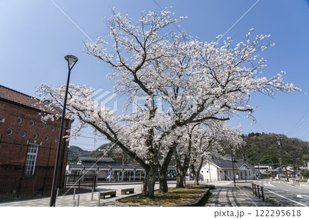 えちぜん鉄道永平寺口駅前の桜 122295618